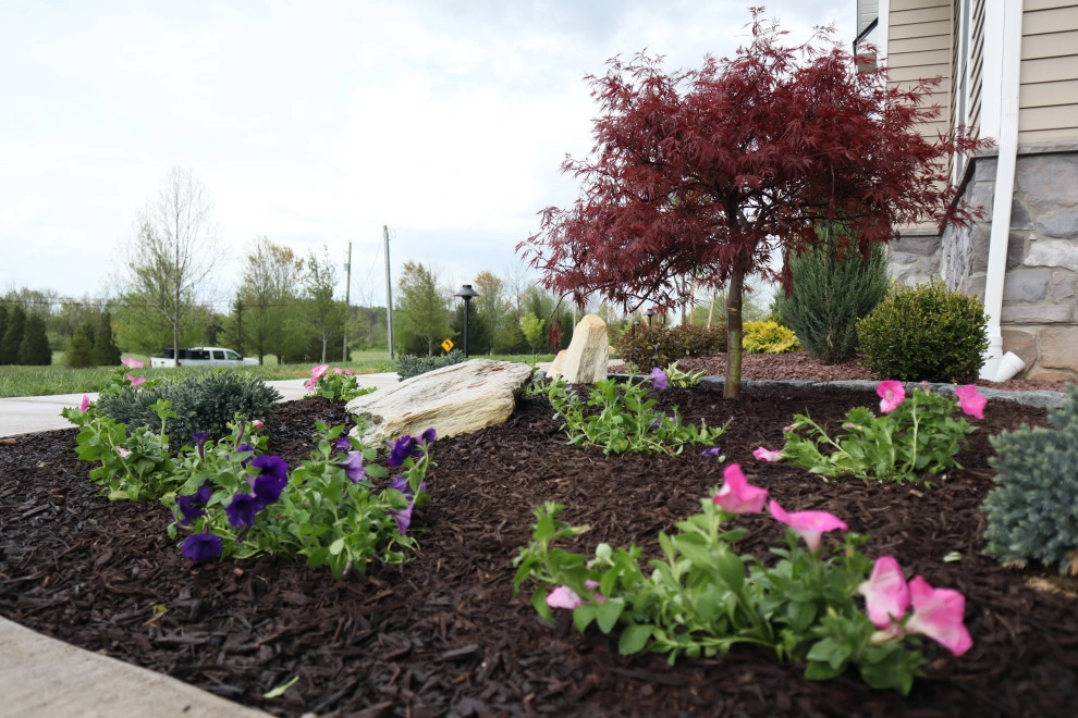 Landscape Planting, Lighting, and Using Red Tipple Stone by Holly Days Nursery & Landscaping - Photo 2