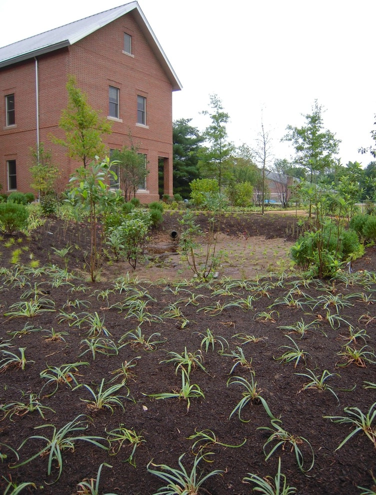 The George School by Holly Days Nursery & Landscaping - Photo 18