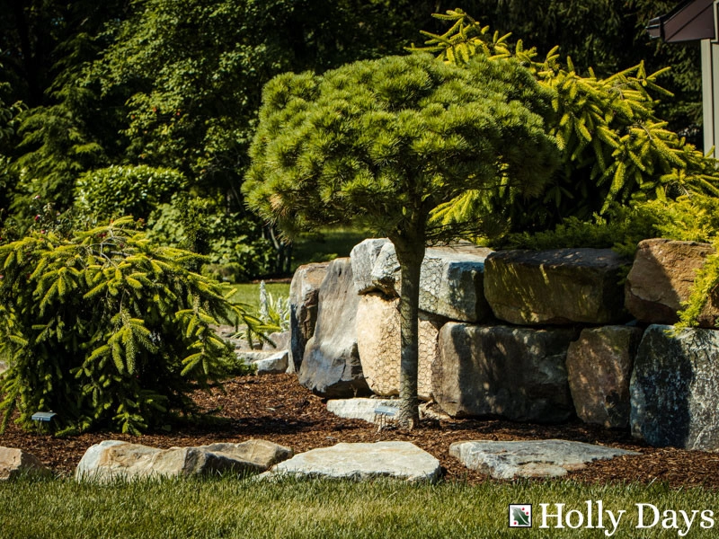 Landscape and Hardscape, Ambler, Pa by Holly Days Nursery & Landscaping - Photo 17