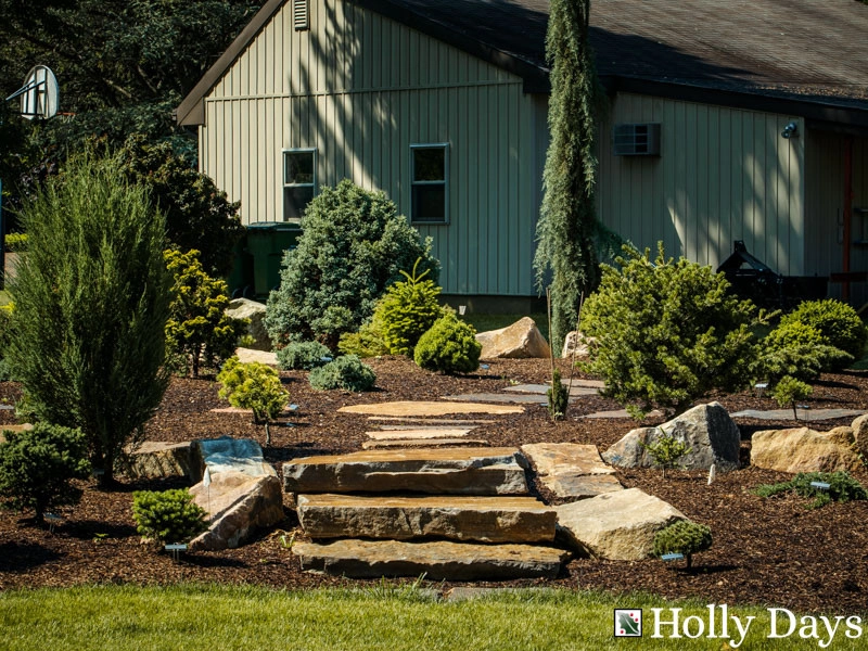 Landscape and Hardscape, Ambler, Pa by Holly Days Nursery & Landscaping - Photo 11