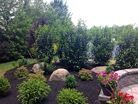 Chesapeake Bay Home by Holly Days Nursery & Landscaping - Photo 19