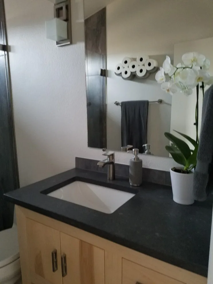 1980s Bathtub Transformation by Destijl Interiors - Photo 16