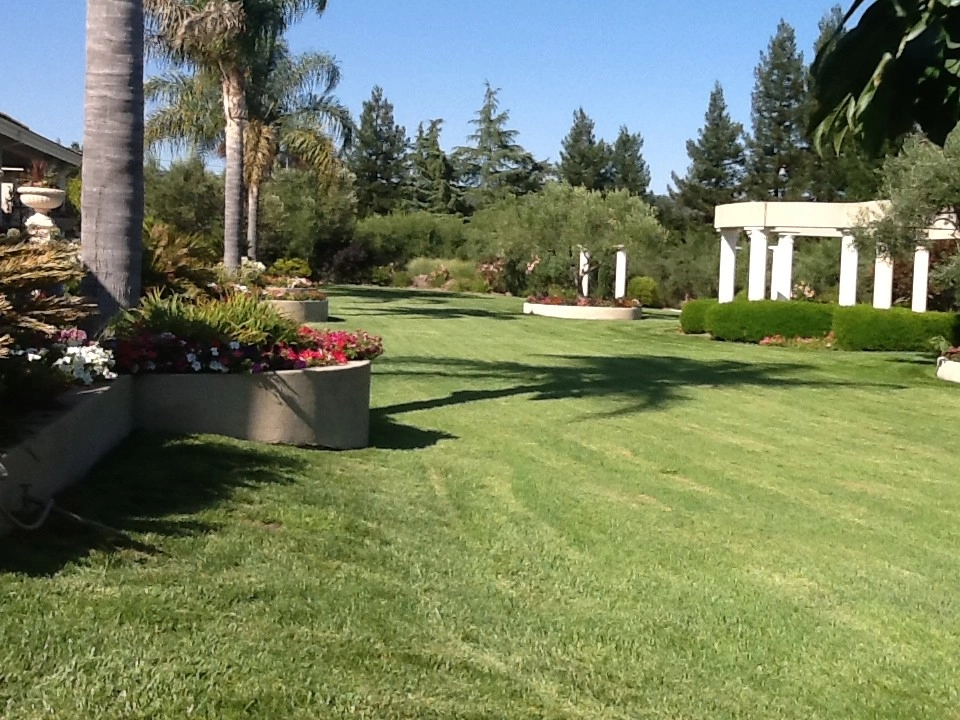 Napa Project by Home & Garden Construction Group - Photo 7