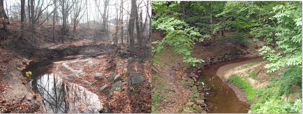 Project Before & After Pictures by LandTechwmi LLC - Photo 41