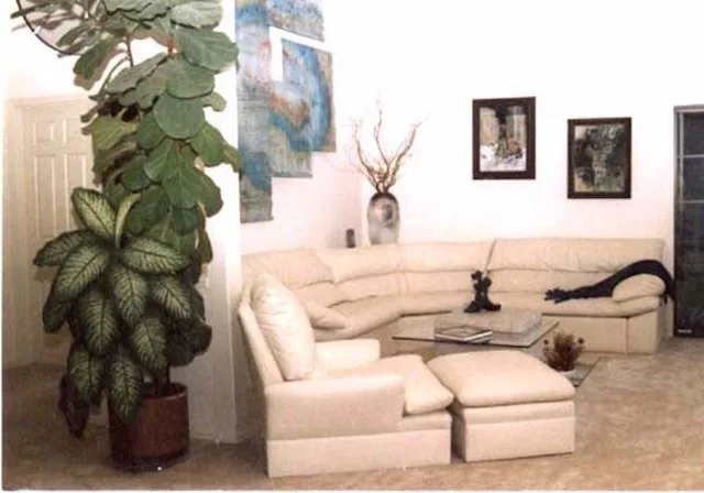 Lounge Decor Concepts by Dasha Interior Designs - Photo 3