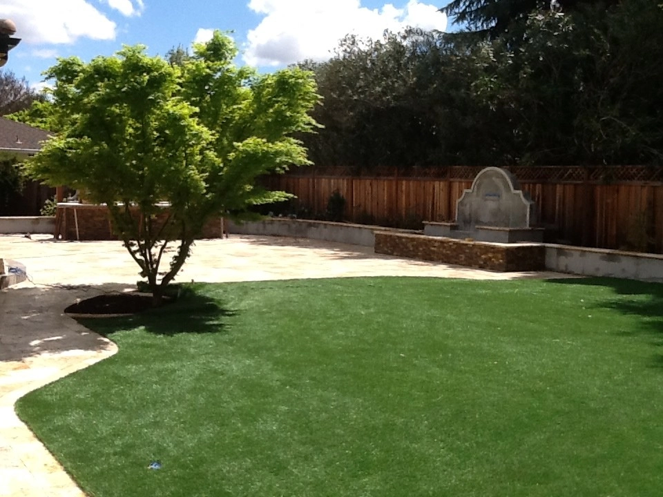 Backyard: Palo Alto, CA by Home & Garden Construction Group - Photo 2