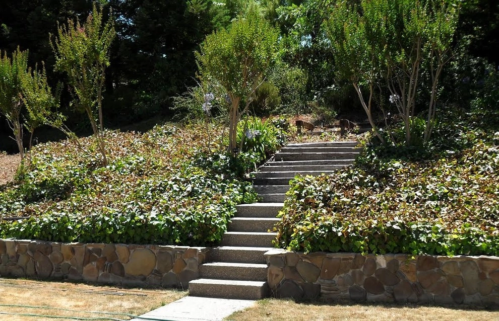 Front/Backyard: Moraga by Home & Garden Construction Group - Photo 3