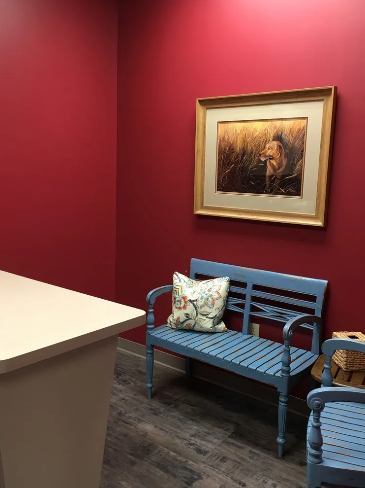 Star Veterinary Clinic by Maxwell House Interiors Virginia Warren - Photo 3