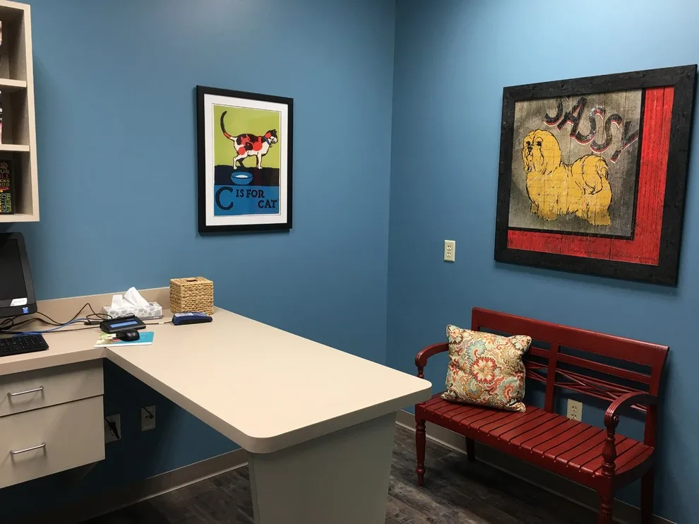 Star Veterinary Clinic by Maxwell House Interiors Virginia Warren - Photo 2