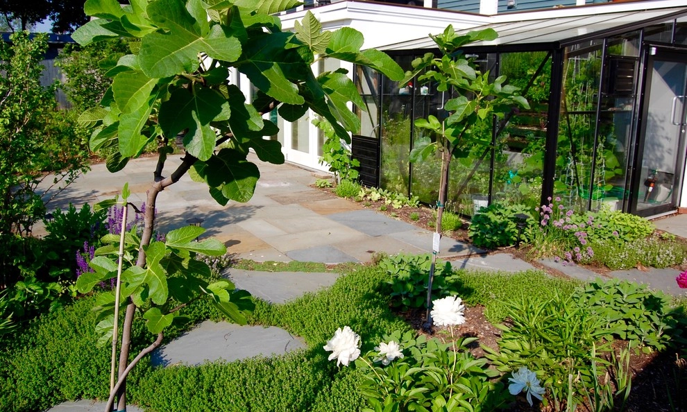 Edible Landscape, Greenhouse, Orchard, Patio by HomeHarvest - Edible Landscapes And Construction - Photo 5