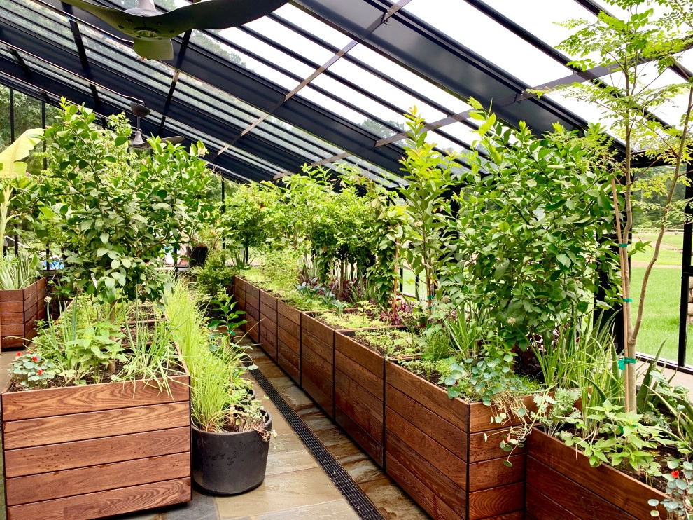 Tropical Greenhouse in Massachusetts by HomeHarvest - Edible Landscapes And Construction - Photo 3
