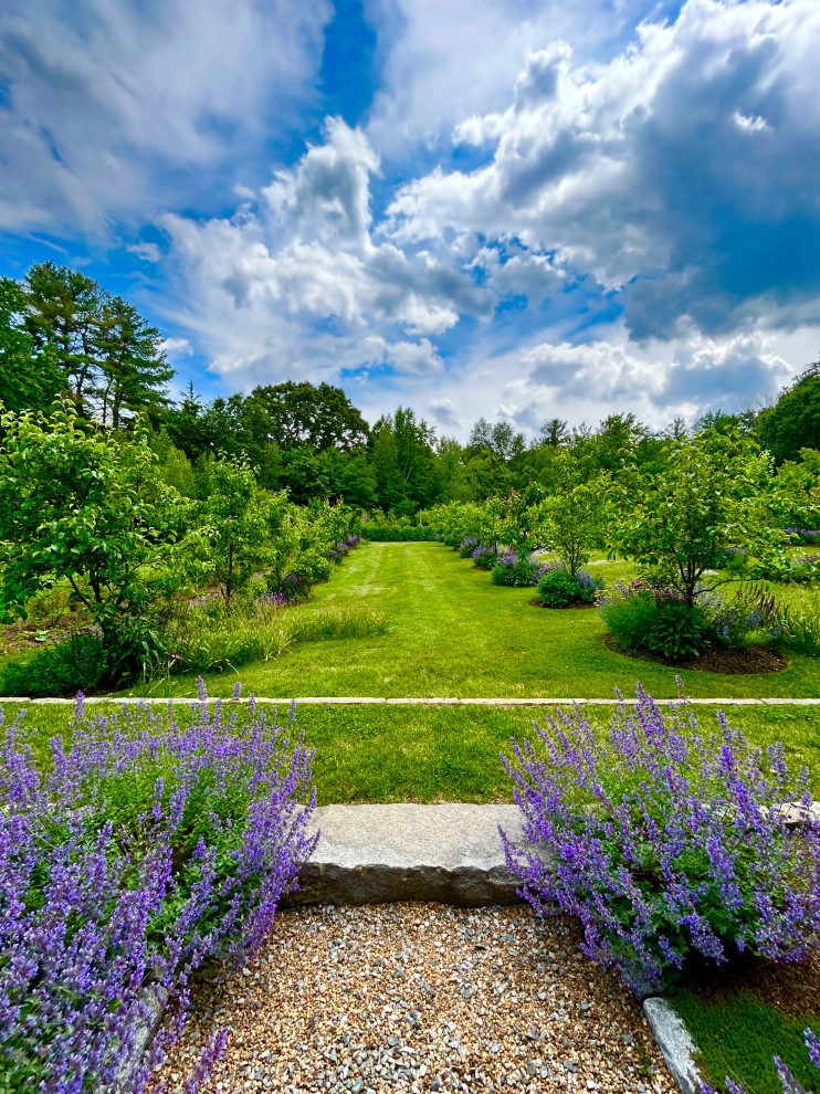 Organic Fruit Orchard by HomeHarvest - Edible Landscapes And Construction - Photo 6