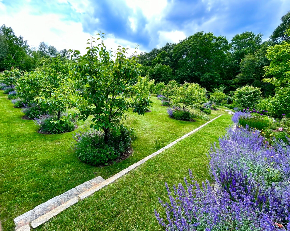 Organic Fruit Orchard by HomeHarvest - Edible Landscapes And Construction - Photo 19