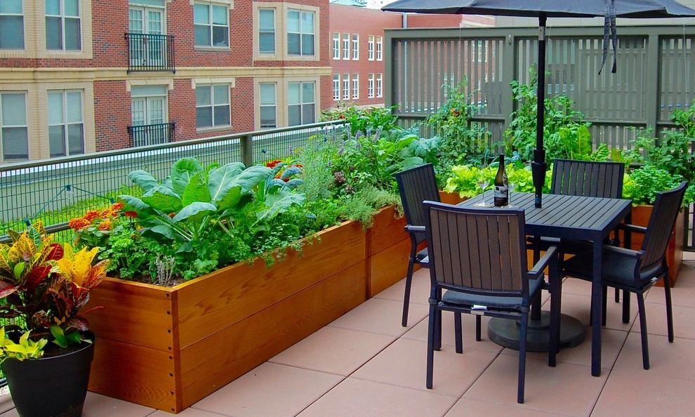 Cedar Raised Beds - Downtown Boston by HomeHarvest - Edible Landscapes And Construction - Photo 2