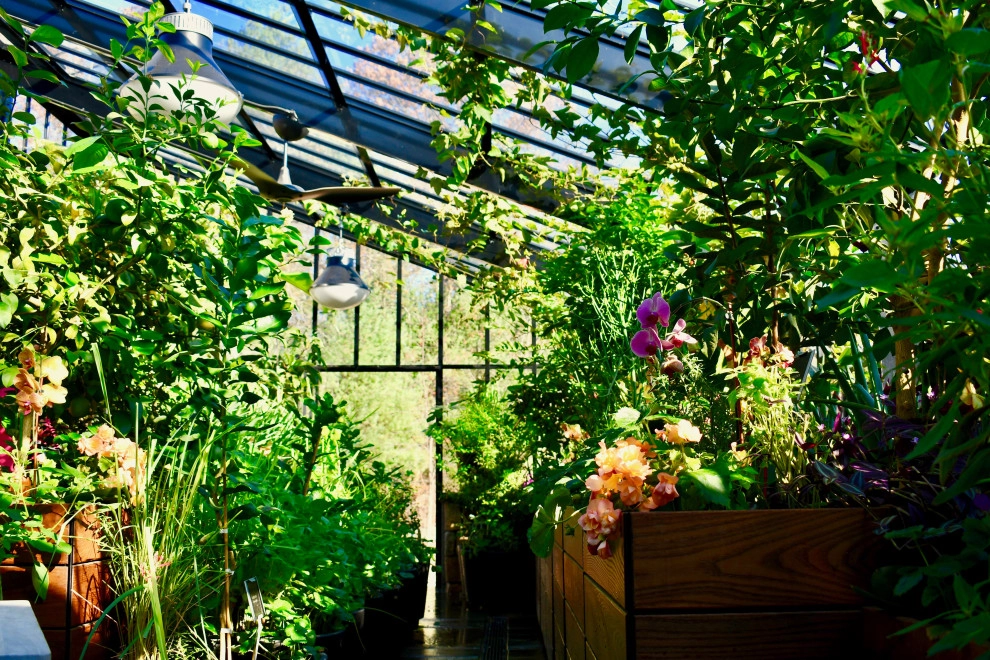 Tropical Greenhouse in Massachusetts by HomeHarvest - Edible Landscapes And Construction - Photo 10