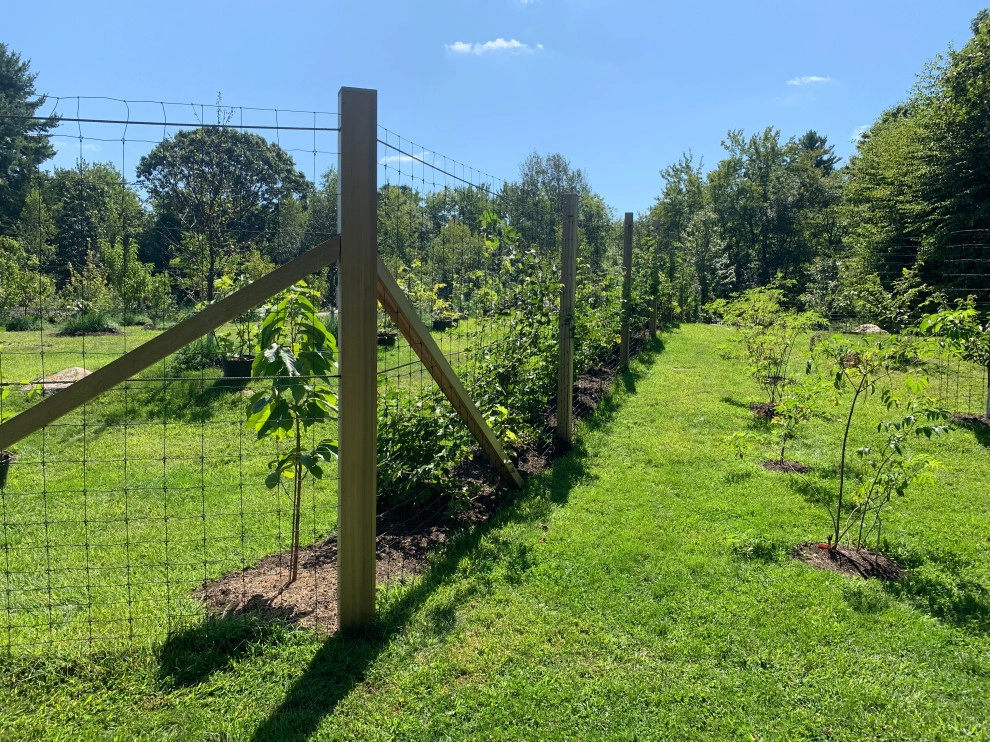 Organic Fruit Orchard by HomeHarvest - Edible Landscapes And Construction - Photo 9