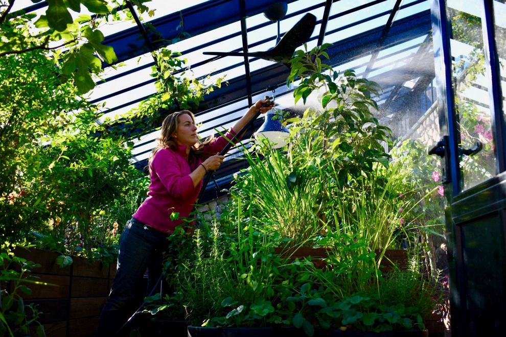 HomeHarvest - Edible Landscapes And Construction - Photo 4