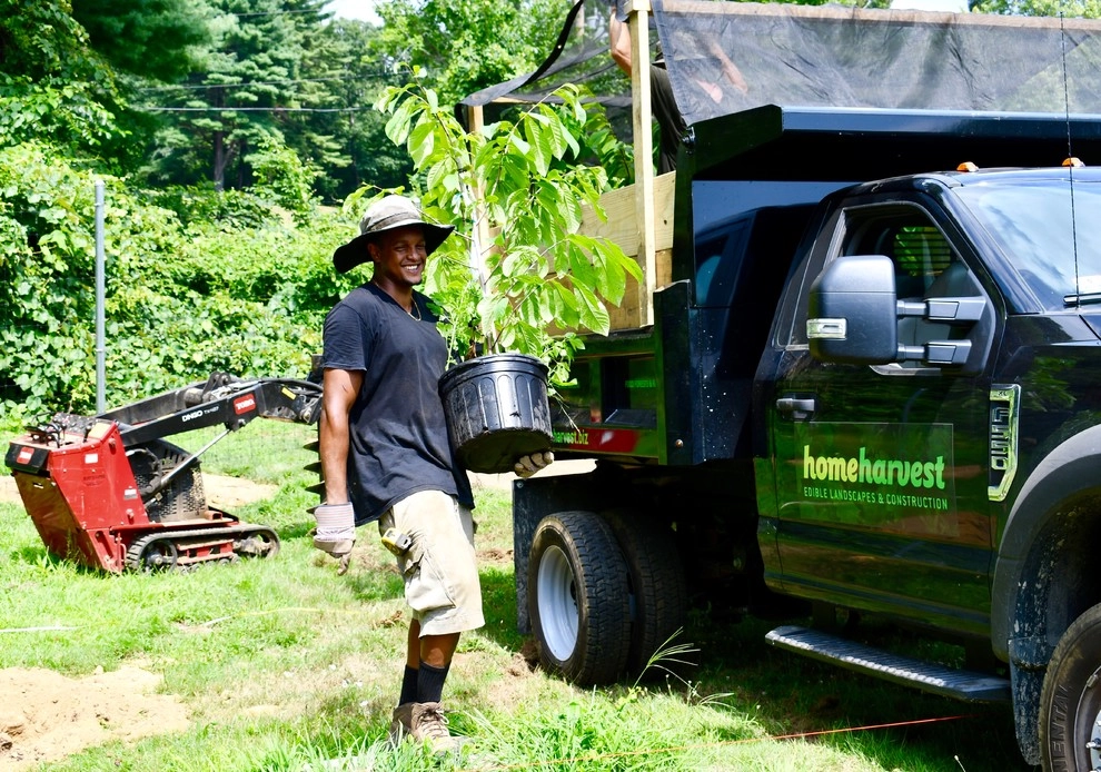 Mixed Edible Gardens by HomeHarvest - Edible Landscapes And Construction - Photo 2