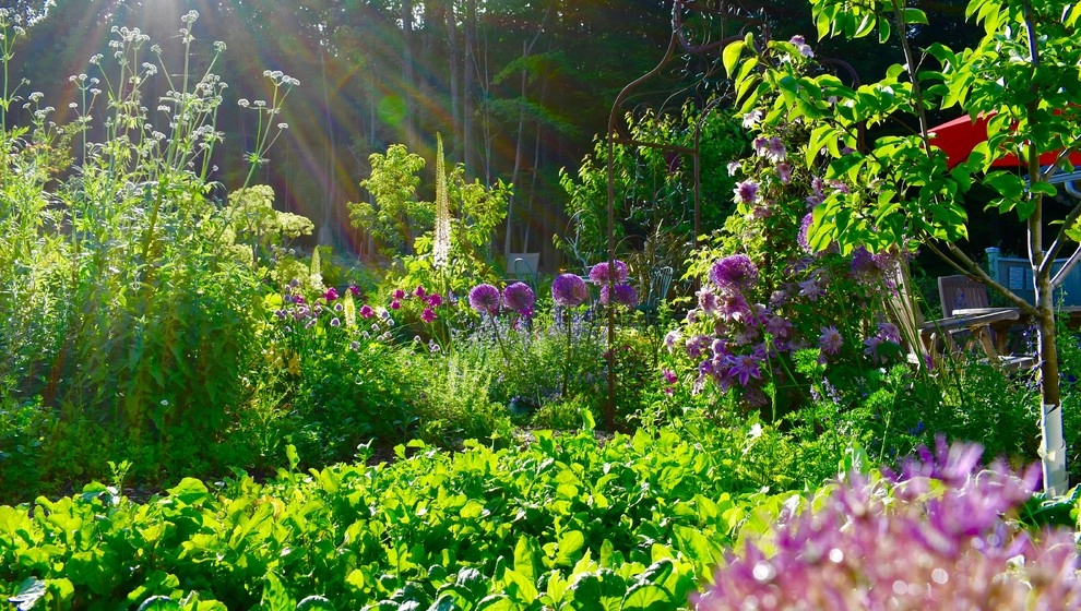 Edible Rural Oasis - Conway, MA by HomeHarvest - Edible Landscapes And Construction - Photo 5