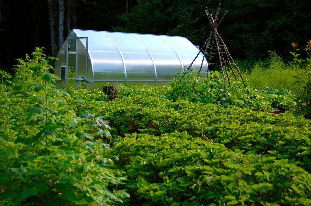 Edible Rural Oasis - Conway, MA by HomeHarvest - Edible Landscapes And Construction - Photo 6
