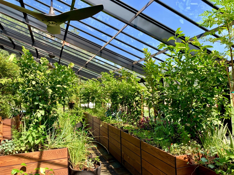 Tropical Greenhouse in Massachusetts by HomeHarvest - Edible Landscapes And Construction - Photo 5