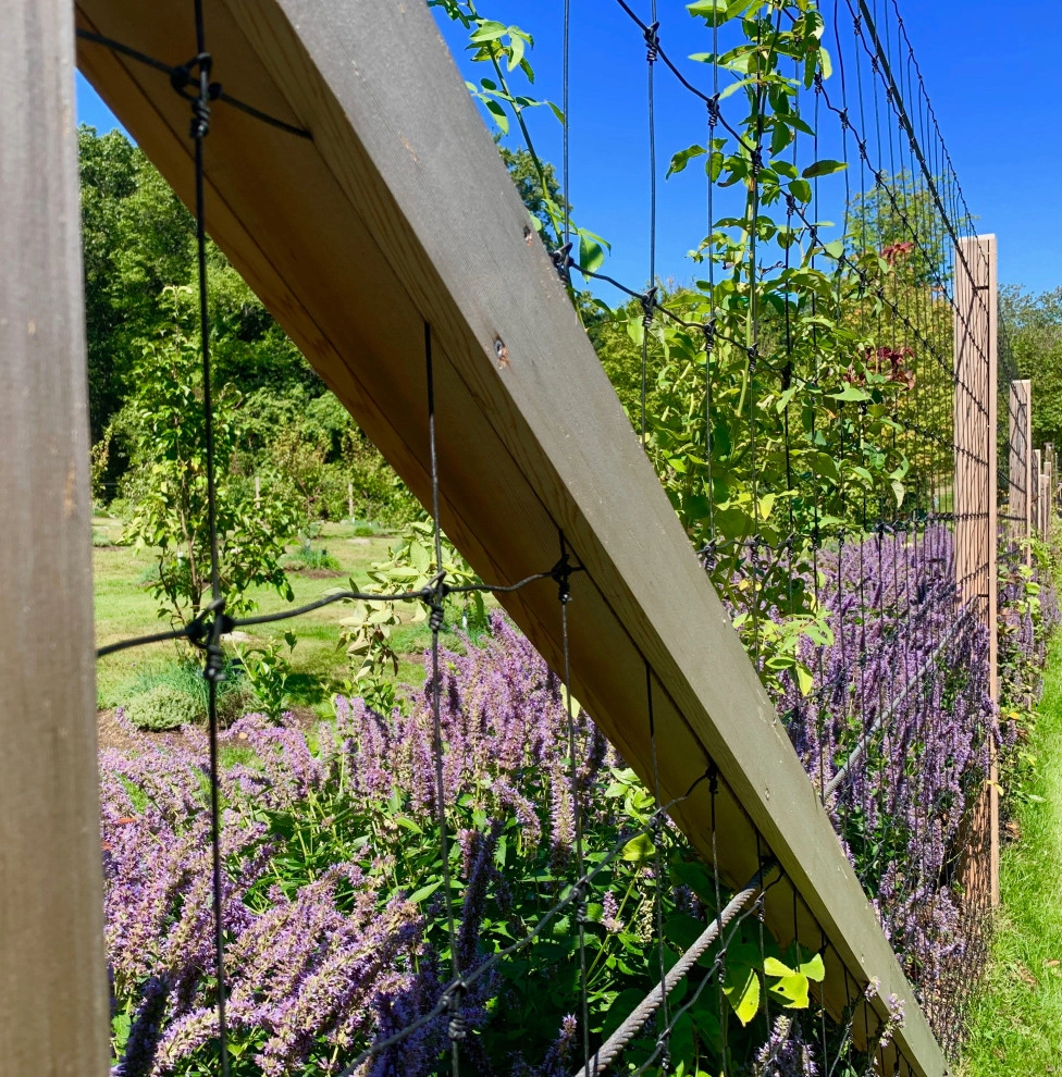 Organic Fruit Orchard by HomeHarvest - Edible Landscapes And Construction - Photo 11