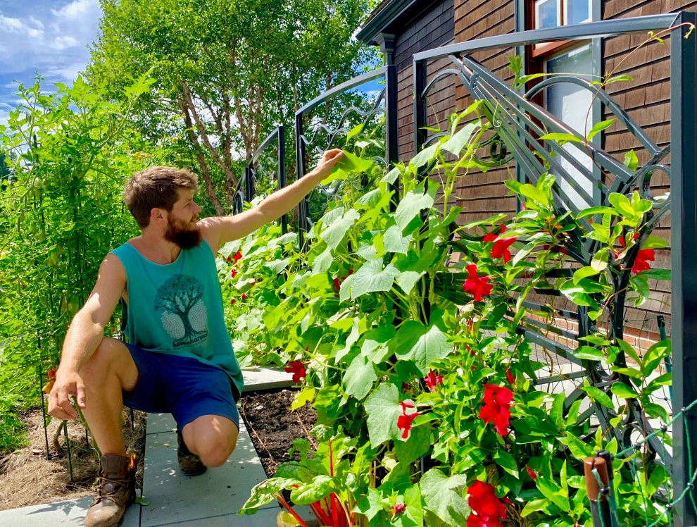Brookline Edible Garden Paradise by HomeHarvest - Edible Landscapes And Construction - Photo 8