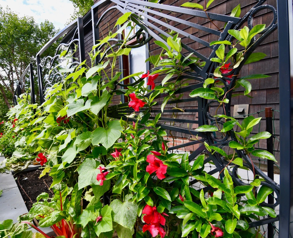 Brookline Edible Garden Paradise by HomeHarvest - Edible Landscapes And Construction - Photo 4