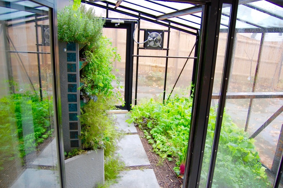 Edible Landscape, Greenhouse, Orchard, Patio by HomeHarvest - Edible Landscapes And Construction - Photo 4