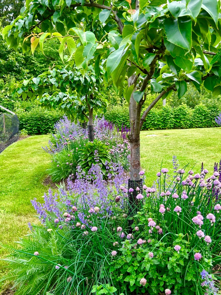 Organic Fruit Orchard by HomeHarvest - Edible Landscapes And Construction - Photo 4
