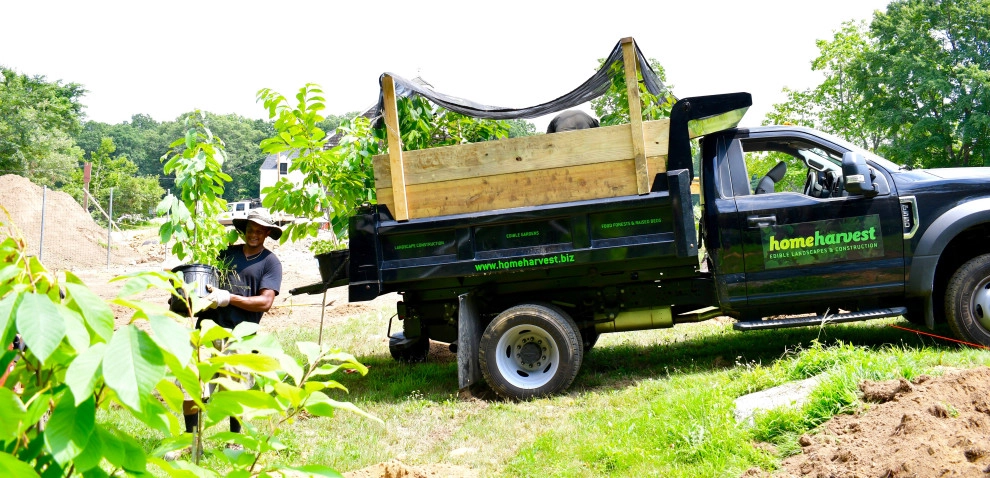 Organic Fruit Orchard by HomeHarvest - Edible Landscapes And Construction - Photo 5