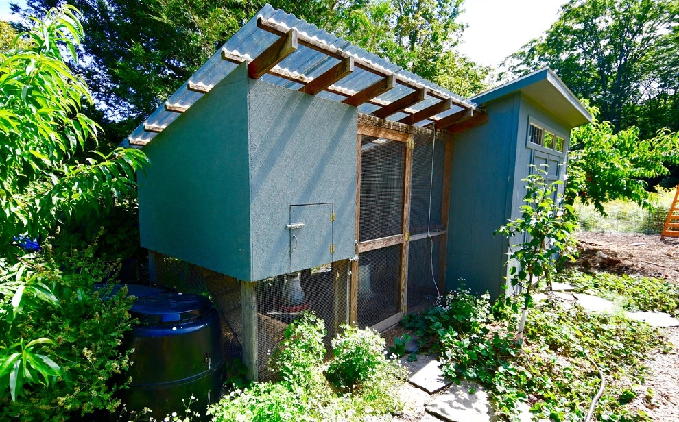 Edible Rural Oasis - Conway, MA by HomeHarvest - Edible Landscapes And Construction - Photo 2