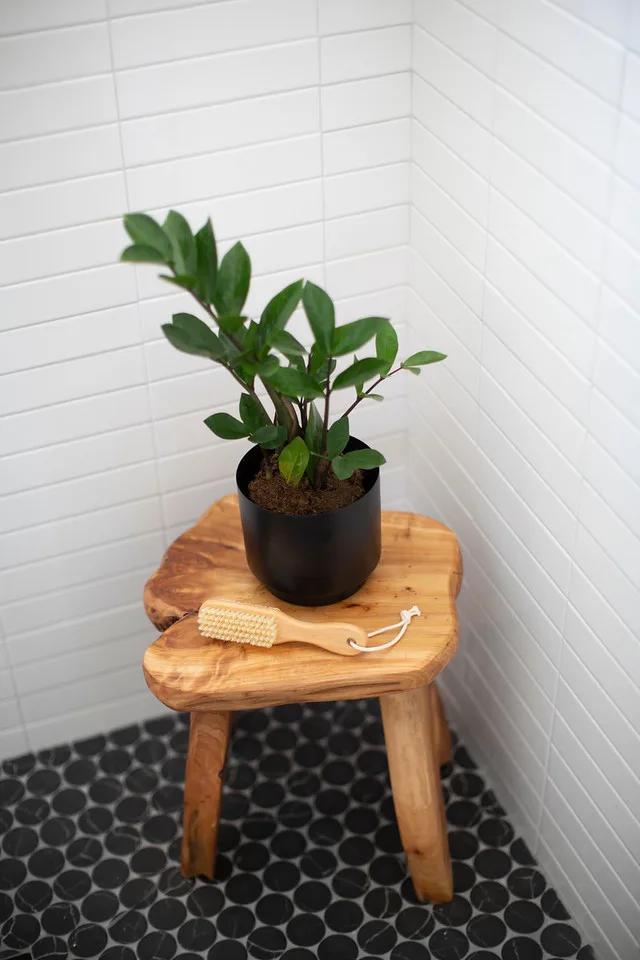 Altamont Powder Room and Guest Bathroom by Alima Deneke Interior Design - Photo 5