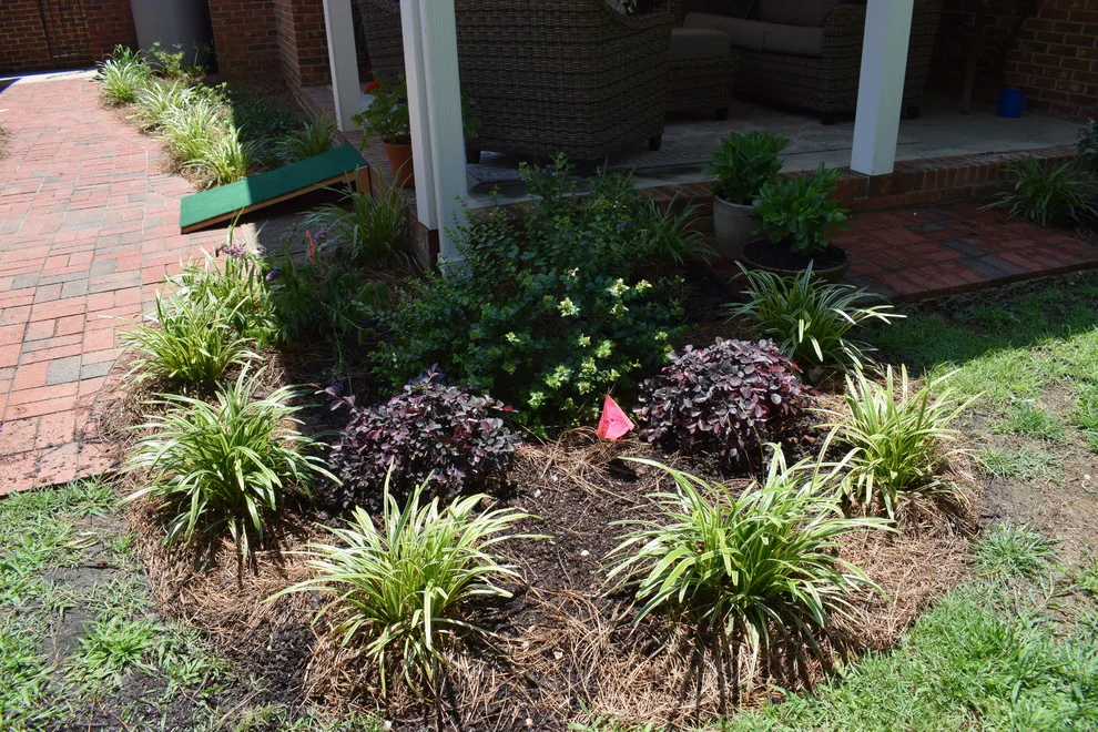 Andrews Gardens by Carol Nance - Photo 16
