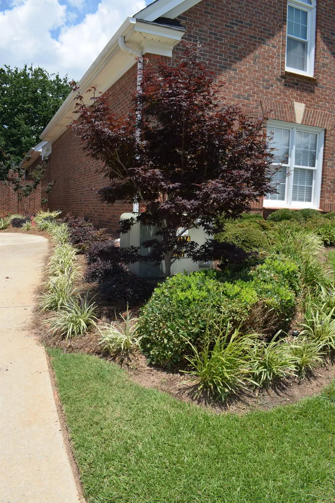 Andrews Gardens by Carol Nance - Photo 8