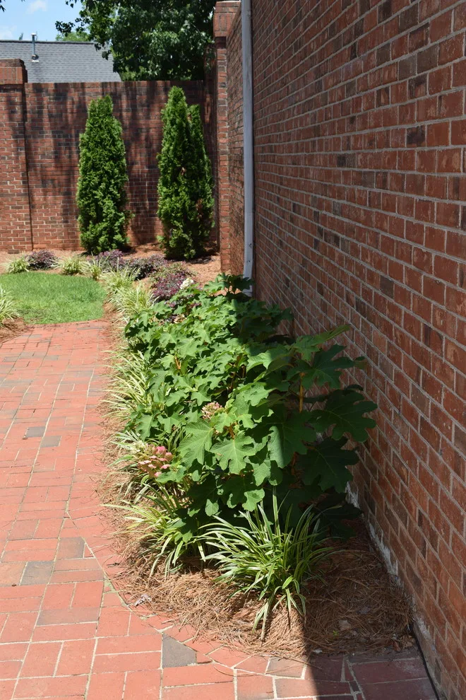 Andrews Gardens by Carol Nance - Photo 14