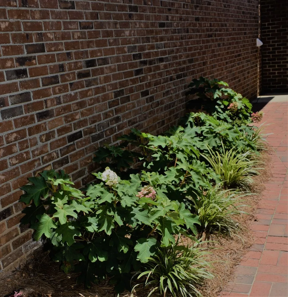 Andrews Gardens by Carol Nance - Photo 2