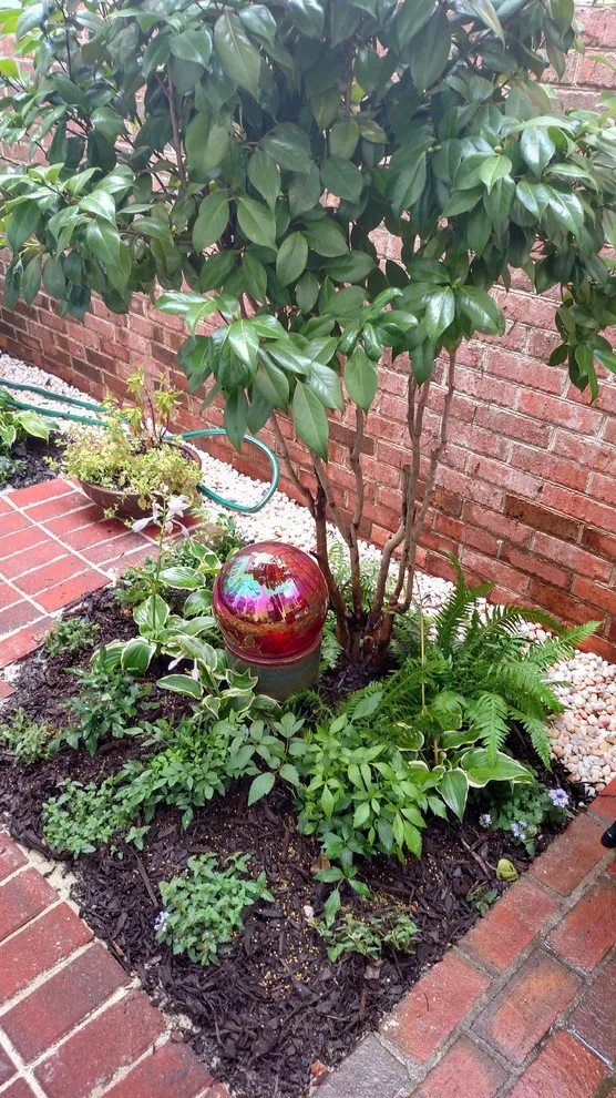 Andrews Gardens by Carol Nance - Photo 11