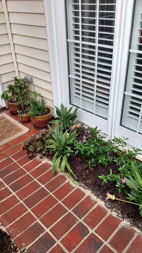 Andrews Gardens by Carol Nance - Photo 19