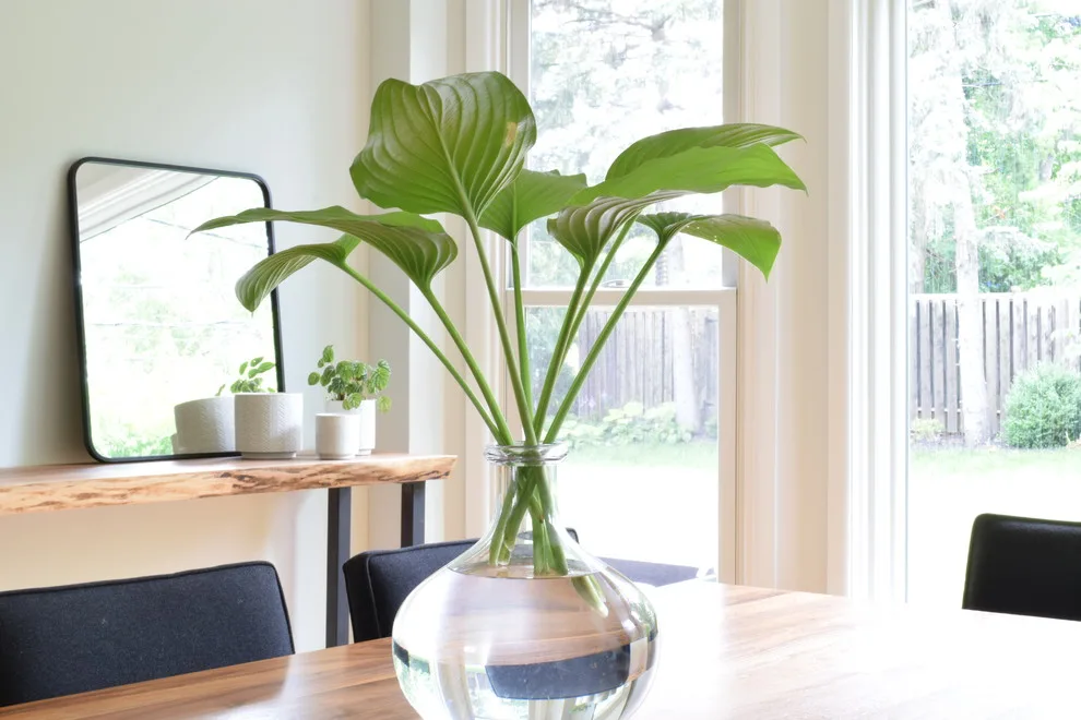 Ann Arbor Restaurant Space Design by OYL Design - Photo 5