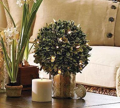 Perspectives by Nest Home Interiors - Photo 4
