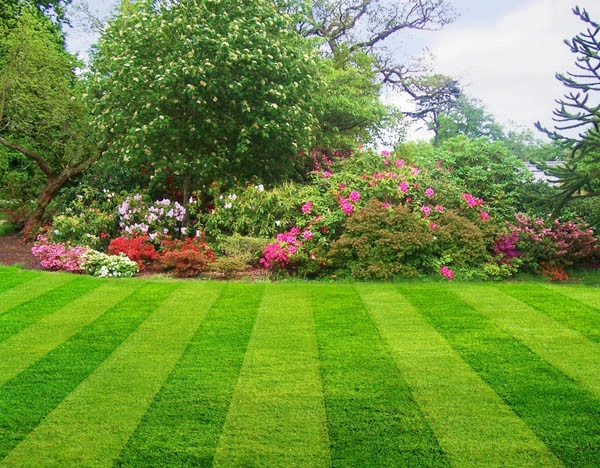 Horizon Lawn & Landscape, LLC - Photo 10