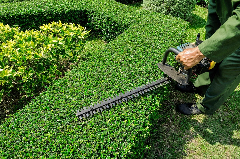 Horizon Lawn & Landscape, LLC - Photo 4