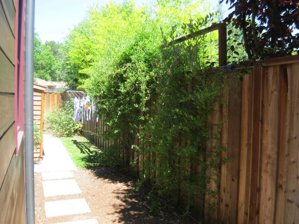 Modern, Eclectic Front & Back Yards by Hortus Design Sustainable Landscapes - Photo 4