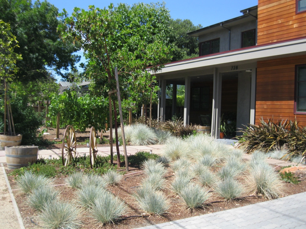 Modern, Eclectic Front & Back Yards by Hortus Design Sustainable Landscapes - Photo 7