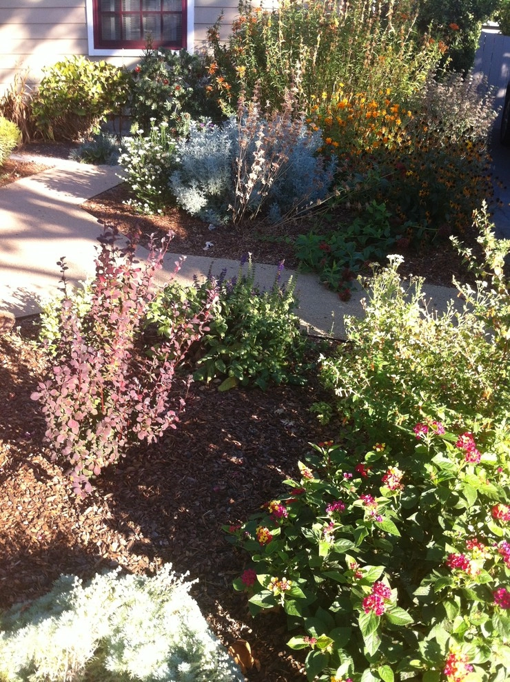Formal Garden with low water plants by Hortus Design Sustainable Landscapes - Photo 6