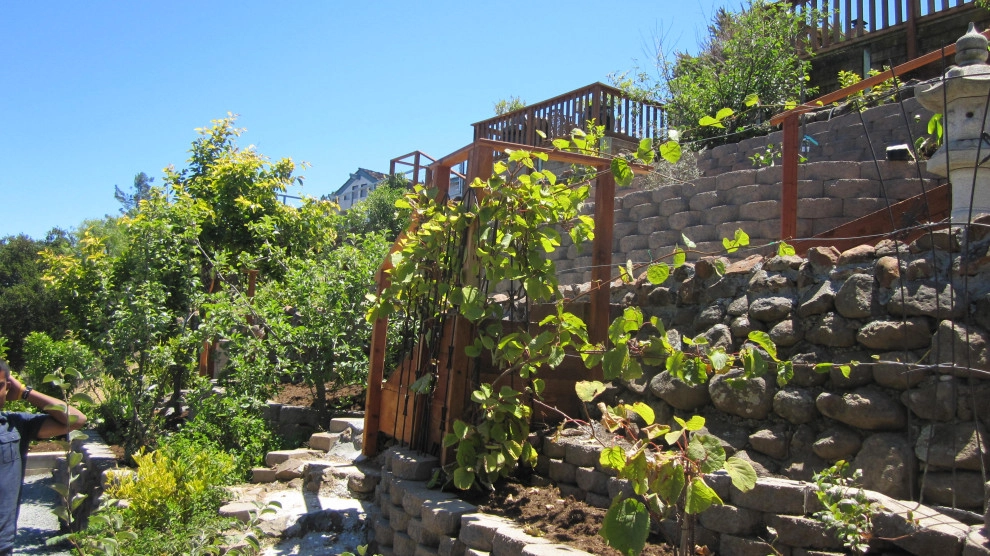 Terraced Backyard Garden by Hortus Design Sustainable Landscapes - Photo 3