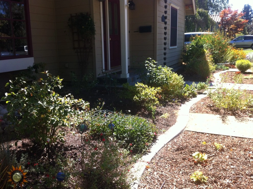 Formal Garden with low water plants by Hortus Design Sustainable Landscapes - Photo 23