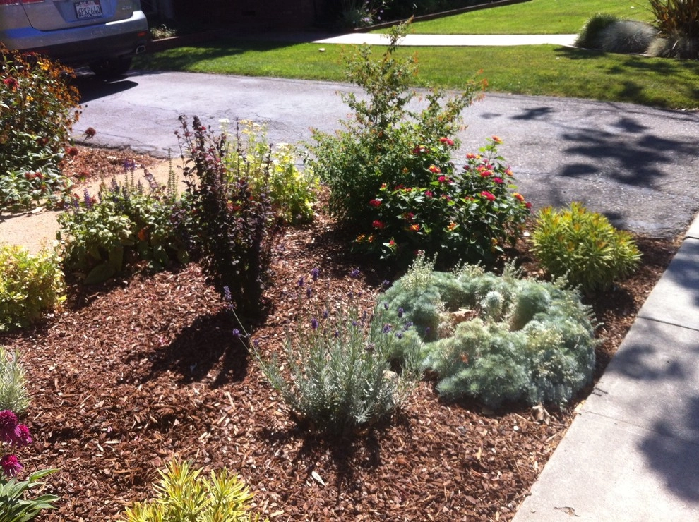 Formal Garden with low water plants by Hortus Design Sustainable Landscapes - Photo 16