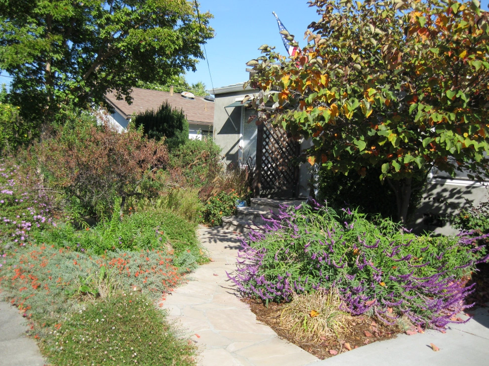 Native Front Yard Garden & Backyard with Metal Raised Beds by Hortus Design Sustainable Landscapes - Photo 2